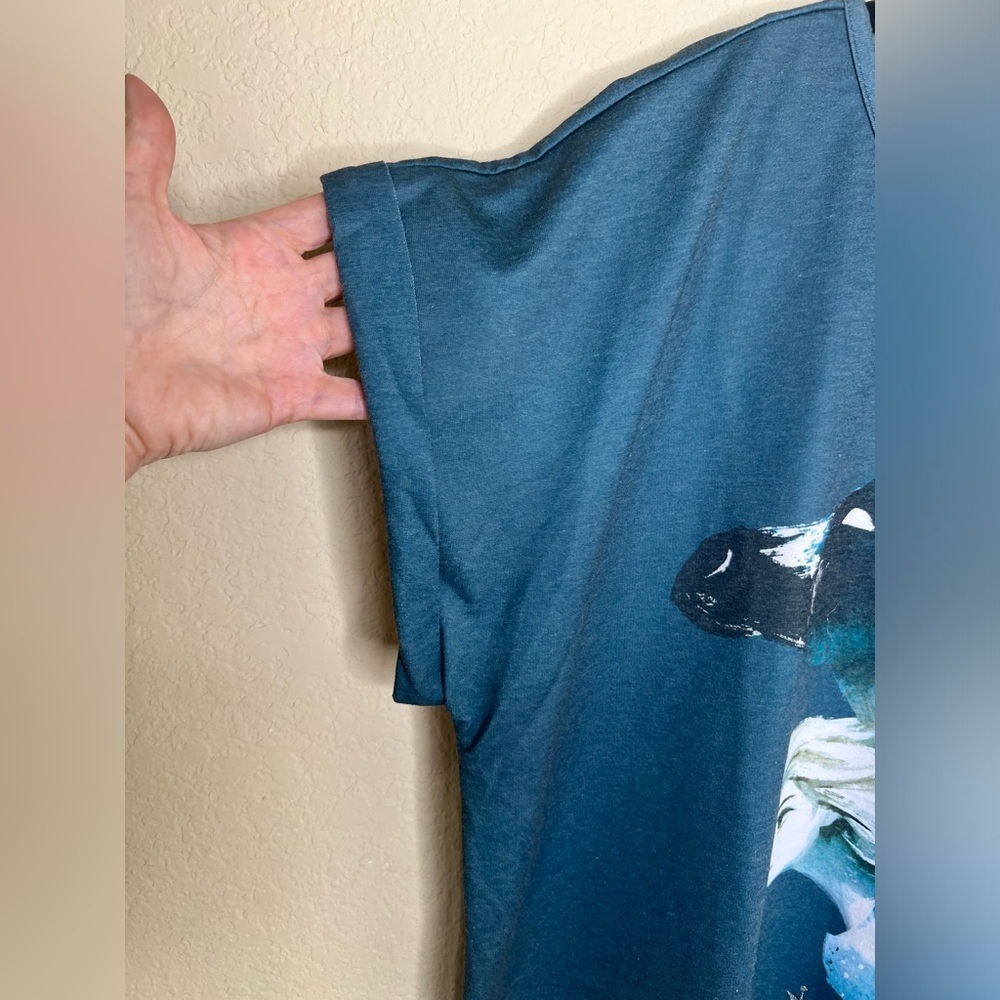NTM: Disney Greenish Blue Frozen 2 Elsa & The Nokk Nightgown Size XL/2XL - Picture 7 of 13